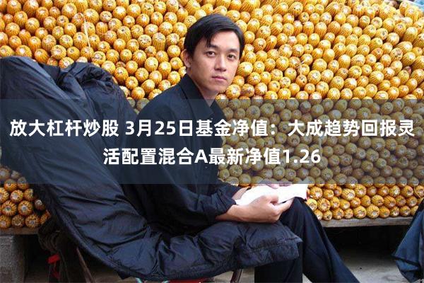 放大杠杆炒股 3月25日基金净值：大成趋势回报灵活配置混合A最新净值1.26
