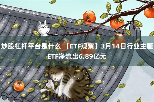 炒股杠杆平台是什么 【ETF观察】3月14日行业主题ETF净流出6.89亿元