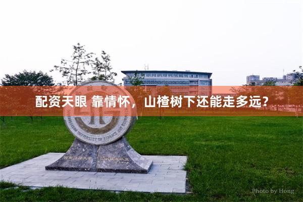 配资天眼 靠情怀，山楂树下还能走多远？