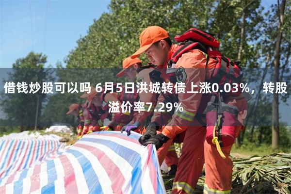借钱炒股可以吗 6月5日洪城转债上涨0.03%，转股溢价率7.29%