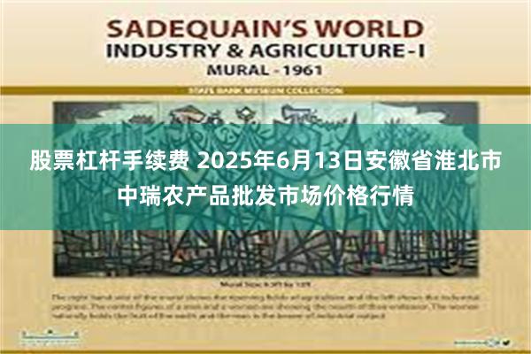股票杠杆手续费 2025年6月13日安徽省淮北市中瑞农产品批发市场价格行情
