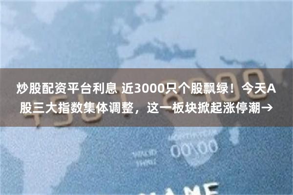 炒股配资平台利息 近3000只个股飘绿！今天A股三大指数集体调整，这一板块掀起涨停潮→