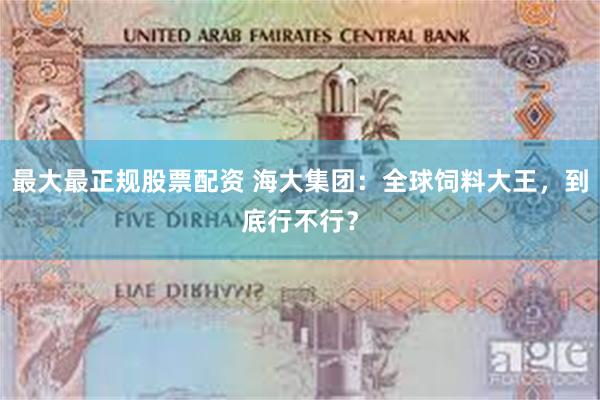 最大最正规股票配资 海大集团：全球饲料大王，到底行不行？