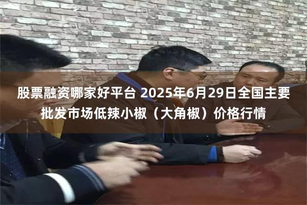 股票融资哪家好平台 2025年6月29日全国主要批发市场低辣小椒（大角椒）价格行情
