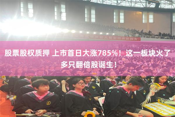 股票股权质押 上市首日大涨785%！这一板块火了 多只翻倍股诞生！