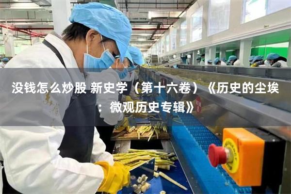 没钱怎么炒股 新史学（第十六卷）《历史的尘埃：微观历史专辑》